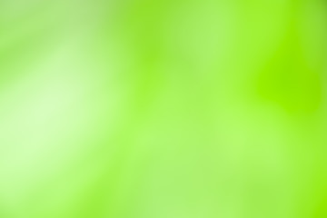 abstract background gradient in green tone.