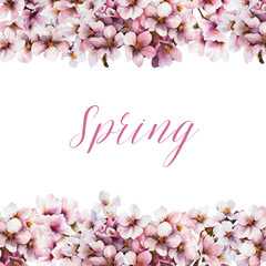 Watercolor cherry blossom. Seasonal spring illustration. Floral banner.