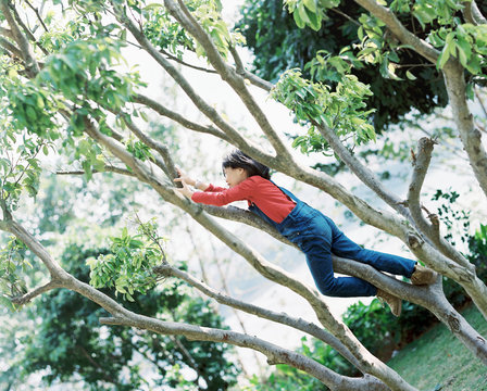 Cute and beautiful Asian children, climbing in the trees. shot by 120 film
