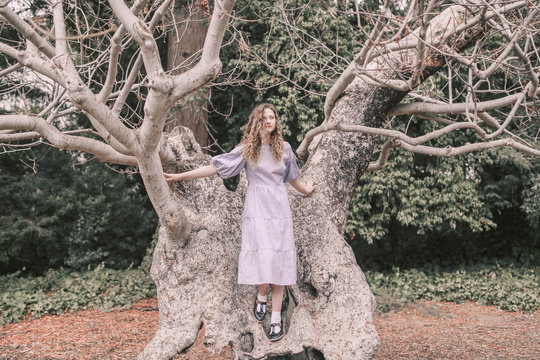 Girl in tree
