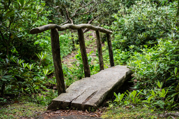 Footlog crossing a stream in the Smoky Mountains.