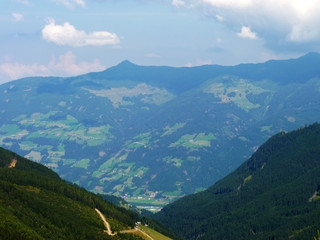 Fototapeta premium Wildlife at high altitude hidden in the depths of the mountains