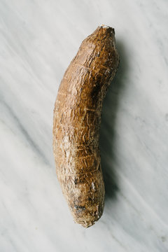 Yucca Root