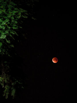 Super Blue Blood Moon Eclipse