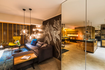 Contemporary luxurious interior