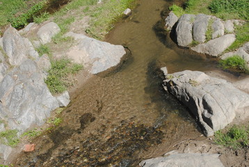 arroyo