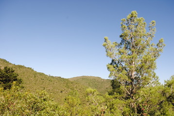 cerro de la virgen