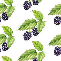 Fresh blackberry seamless pattern. Watercolor background with colorful fruits.