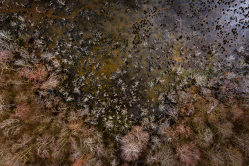 Pond Nadir