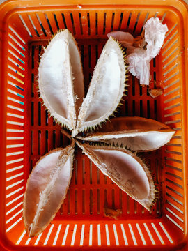 Peeled Durian Skin Overhead