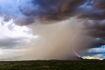 Obraz na płótnie Canvas Thunderstorm with heavy rain and lightning