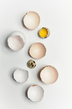Studio shot of different eggs cracks