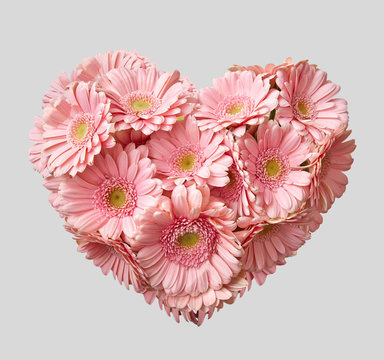 Bouquet of pink transvaal daisy in shape of heart