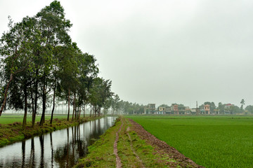 Stream in paddy fields in the northern part of Vietnam