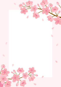 Cherry blossom background