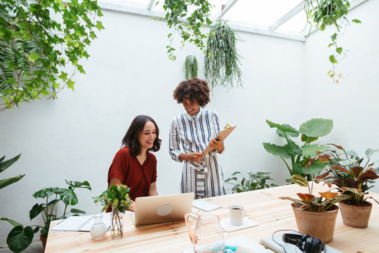 Co-workers working in office full of plants.