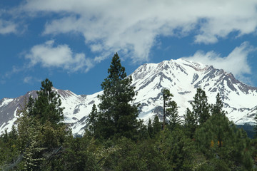 Mt Rainier National Park