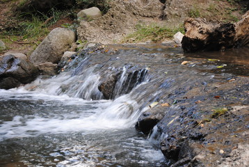 arroyo