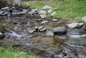 arroyo
