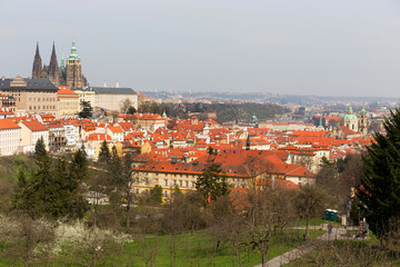 Obraz premium Early spring Prague City with gothic Castle and the green Nature and flowering Trees, Czech Republic