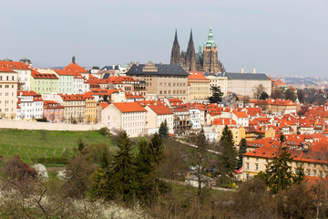 Early spring Prague City with gothic Castle and the green Nature and flowering Trees, Czech Republic