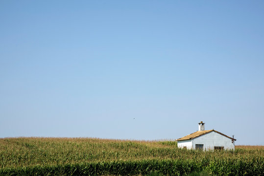 farm