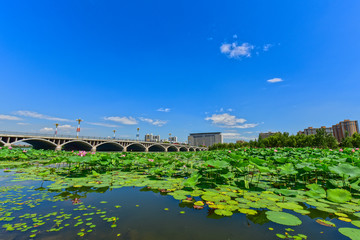 HDR Effect of River Landscape in Urban Parks
