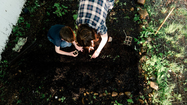 two kids planting seedlings