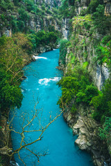 Naklejka na ściany i meble Impressive turquoise river landscape from Koprulu Canyon National Park in Manavgat, Antalya, Turkey. Koprucay.