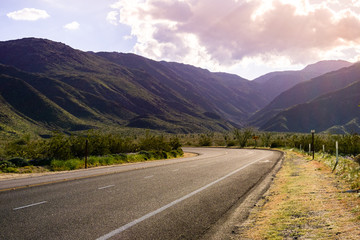 Fototapeta premium Driving through Anza Borrego Desert State Park at sunset, Borrego Springs, California