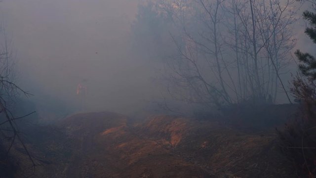 Fire in forest destroys nature-Fireman in smoke - (4K)