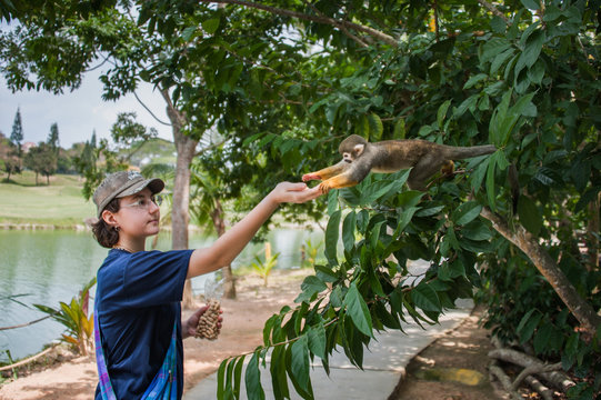 young woman feeding squirrel monkey with nuts