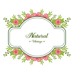 Vector illustration shape natural vintage with ornate pink flower frame