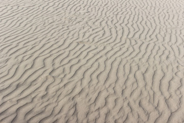 Sand ripples