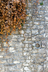 Ancient stone wall with a rusty iron horse hitching ring and green ivy growing on it; abstract and good for background