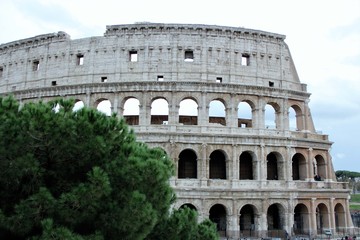 Obraz premium colosseum in rome italy
