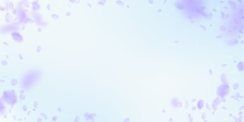 Violet flower petals falling down. Trending romant