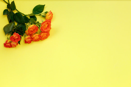 Background of a bouquet of beautiful fresh vivid orange roses tinged with red for celebrating an anniversary, birthday or Mothers Day