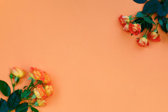 Background of a bouquet of beautiful fresh vivid orange roses tinged with red for celebrating an anniversary, birthday or Mothers Day