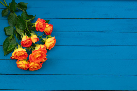Background of a bouquet of beautiful fresh vivid orange roses tinged with red for celebrating an anniversary, birthday or Mothers Day