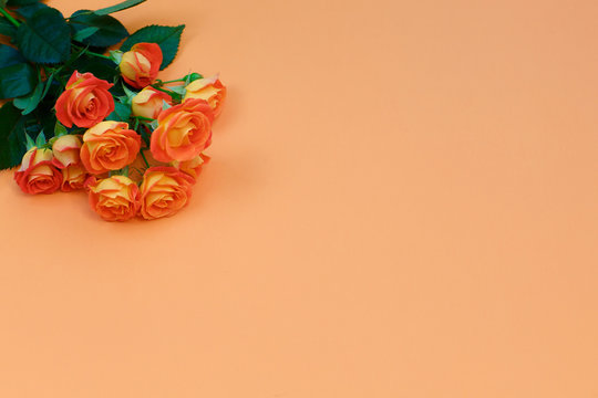 Background of a bouquet of beautiful fresh vivid orange roses tinged with red for celebrating an anniversary, birthday or Mothers Day