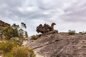 Huge boulder in shape of a camel in Grampians National Park, Victoria, Australia