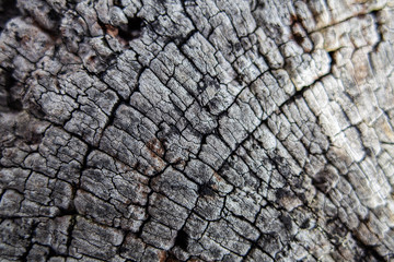 Weathered cracked wood background texture overlay