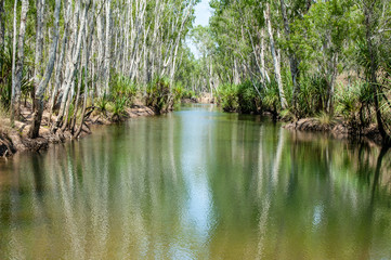 Lagoon surrounded by pandanas palms in the Kimberley region