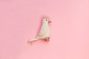 soft toy parrot isolated on pink background