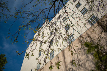 Trees with the Building
