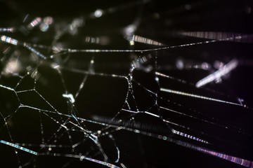Out of focus abstract spiderweb on a black background © PelmanStock