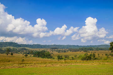 Landscape of Savanna Forest and mountain with a blue sky and white clouds in the spring afternoon