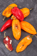 Old moldy peppers on dark background, unhealthy and disgusting vegetable