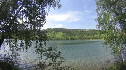 lake in the forest
